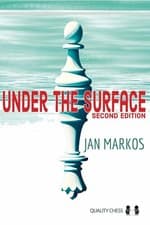 Image of Under the Surface : Second Edition