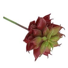 Image of Succulent Cactus Artificial Plastic Unpotted Plants for Home Office Decoration