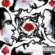 Image of Blood Sugar Sex Magik [2 LP] - Red Hot Chili Peppers WARNER BROS