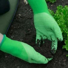 Image of Town & Country Master Gardener Lite Gloves Sizes Small Medium Or Large 