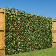 Image of Expanding Artificial Trellis Leaf Flower Garden Screening Fence 1m x 2m Christow