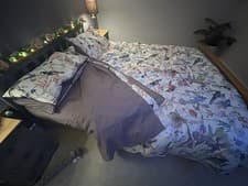 Image of 100% Egyptian Cotton Double Duvet Set 600TC Bird Print Reversible Lilac Bedding
