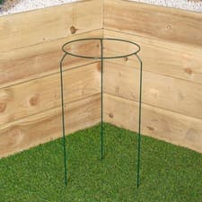 Image of Tom Chambers Urban Metal Herbaceous Garden Plant Support Ring Medium 30cm x 50cm