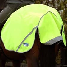 Image of Weatherbeeta 300d Reflective Exercise Sheet - Yellow