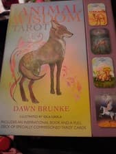 Image of The ANIMAL WISDOM TAROT Dawn Brunke. Illustrated By OLA LIOLA 78 Cards & 96pages