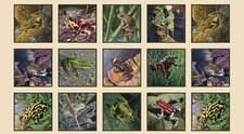 Image of Amazing Frogs 15 Frogs On Cream Panel 100% Cotton Print Fabric