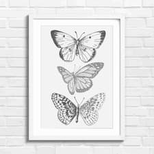 Image of Bold Pink and Orange Butterfly Art Black & White Framed Wall Art Print Large