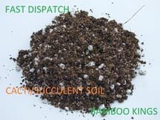Image of CACTI/SUCCULENT SOIL SUPER HIGH QUALITY - 1L TO 50L - CACTUS SUCCULENT COMPOST