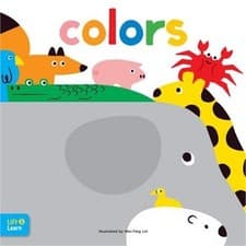 Image of Colors Lift & Learn: Interactive Flaps Reveal Basic Concepts for Toddlers (Board