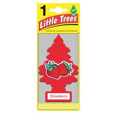 Image of Little Trees Variety Scent Hanging Car Air Fresheners | Mix & Match 25+ Scents