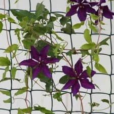 Image of Climbing Plant & Fencing Garden Mesh Outdoor Indoor Netting Protect Heavy Duty