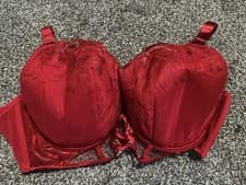 Image of Ann summers Bra Brand New With Tags Size 44E Stunning Lace Front Detail
