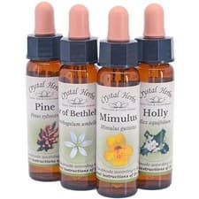 Image of 10ml Bach Flower Remedy - preserved in organic brandy