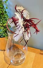 Image of Stunning Plum, White Feather & Flower Sinamay Fascinator Wedding or Race Days