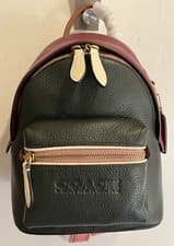 Image of COACH NEW YORK CHARTER BACKPACK 18 AMAZON GREEN COLORBLOCK LEATHER BRASS BNWT