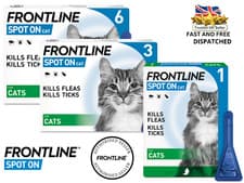 Image of FRONTLINE Spot On Flea Treatment for Cats Kill Fleas Ticks Lice 1, 3, 6 Pipettes