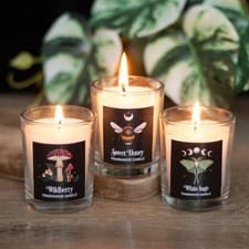 Image of Set 3 Dark Forest Votive Wildberry Spiced Honey White Sage Scented Gift Candles