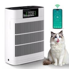 Image of Air Purifier Home HEPA Large Room Air Cleaner for Allergies Smoke Mold Odor Dust
