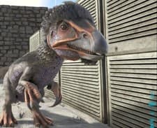 Image of Baby Theri - Ark Survival Evolved XBOX ONE OFFICIAL PVP SERVERS