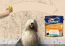 Image of Dulux Easycare Washable & Tough Matt Emulsion Paint - All Sizes - All Colours