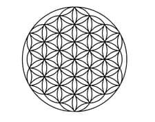 Image of Interlocking Circles Wall Decal – Beautiful Vinyl Home Decor