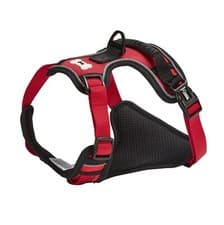 Image of Bunty "Adventure Harness" Dog/Puppy/Pet Soft Adjustable Outdoor Harness