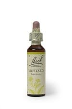Image of Bach Original Flower Remedies Mustard 20ml