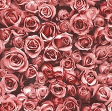 Image of Muriva Rosalee Floral Red Wallpaper 158502