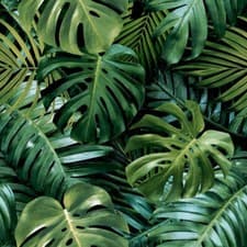 Image of Living Wall Green 924108 by Arthouse Wallpaper - Lounge Hall Bedroom Office