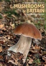 Image of An Identification Guide to Mushrooms of Britain an
