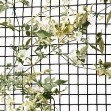 Image of General Purpose Garden Mesh Outdoor Indoor Fencing Plant Support Netting Protect