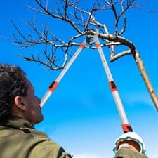 Image of 69-100cm Professional Long Handle Loppers Ratchet Tree Branch Gardening Pruner