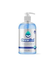 Image of HAND SANITIZER GEL 250ML pack of 2 4 Hand Sanitiser Gel with pump top Aloe Vera