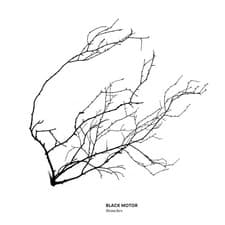 Image of Black Motor Branches CD WJCD05 NEW