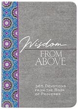 Image of Wisdom from Above: 365 Devotions from the Book of Proverbs by Brian Simmons