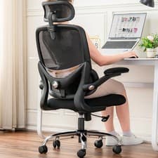 Image of TONFARY Ergonomic Office Chair with Adjustable Lumbar Support, Flip-Up Armrests