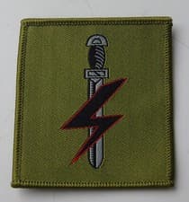 Image of British Army Special Forces Support Group Formation Badge SFSG TRF