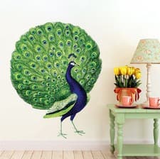 Image of Peacock Wall Decal Mural Birds Of Paradise Wall Vinyl Animal Bird Wall Art, s13