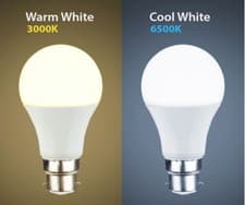 Image of LED 12W LED BC B22 GLS Light Bulb Energy Saving Lamp Cool white Warm White