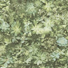 Image of Galerie Evergreen Leaves Wallpaper Botanical Naturistic Paste The Wall Vinyl