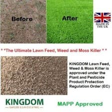 Image of LAWN FEED WEED AND MOSS KILLER ALL IN ONE FERTILISER GRANULES 20KG COVERS 625sqm