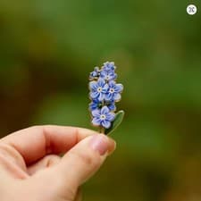 Image of Forget-Me-Not Flower Enamel Pin Badge Blue Gold Tone 4cm Brooch Gift
