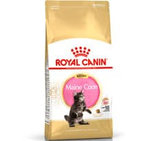 Image of MAINE COON KITTEN - (400g - 10kg) - Royal Canin Junior Cat Dry Food rc Meal Feed