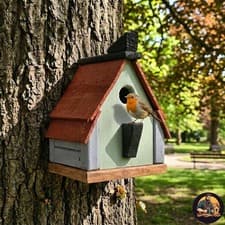 Image of Rainbow Silver ~~ Cottage ~~ Nesting Box House Wood Handmade Wild Bird