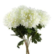 Image of Pack of 6 x 75cm Extra Large Reflex Chrysanthemum - White