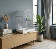 Image of Spacious Bird Cage with Perches & Tray – Budgie Finch Canary Home