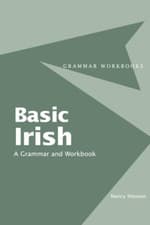 Image of Basic Irish: A Grammar and Workbook (Grammar Workbooks) - Paperback NEW Stenson,