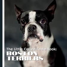 Image of The Little Coffee Table Book: Boston Terriers: From their rich history and uniqu