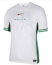 Image of Nigeria Home Shirt 2024 Adults Brand New Small with Tags