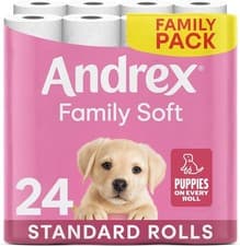 Image of Andrex Family Soft Toilet Paper 24 Rolls (Previously Andrex Gentle Clean) UK